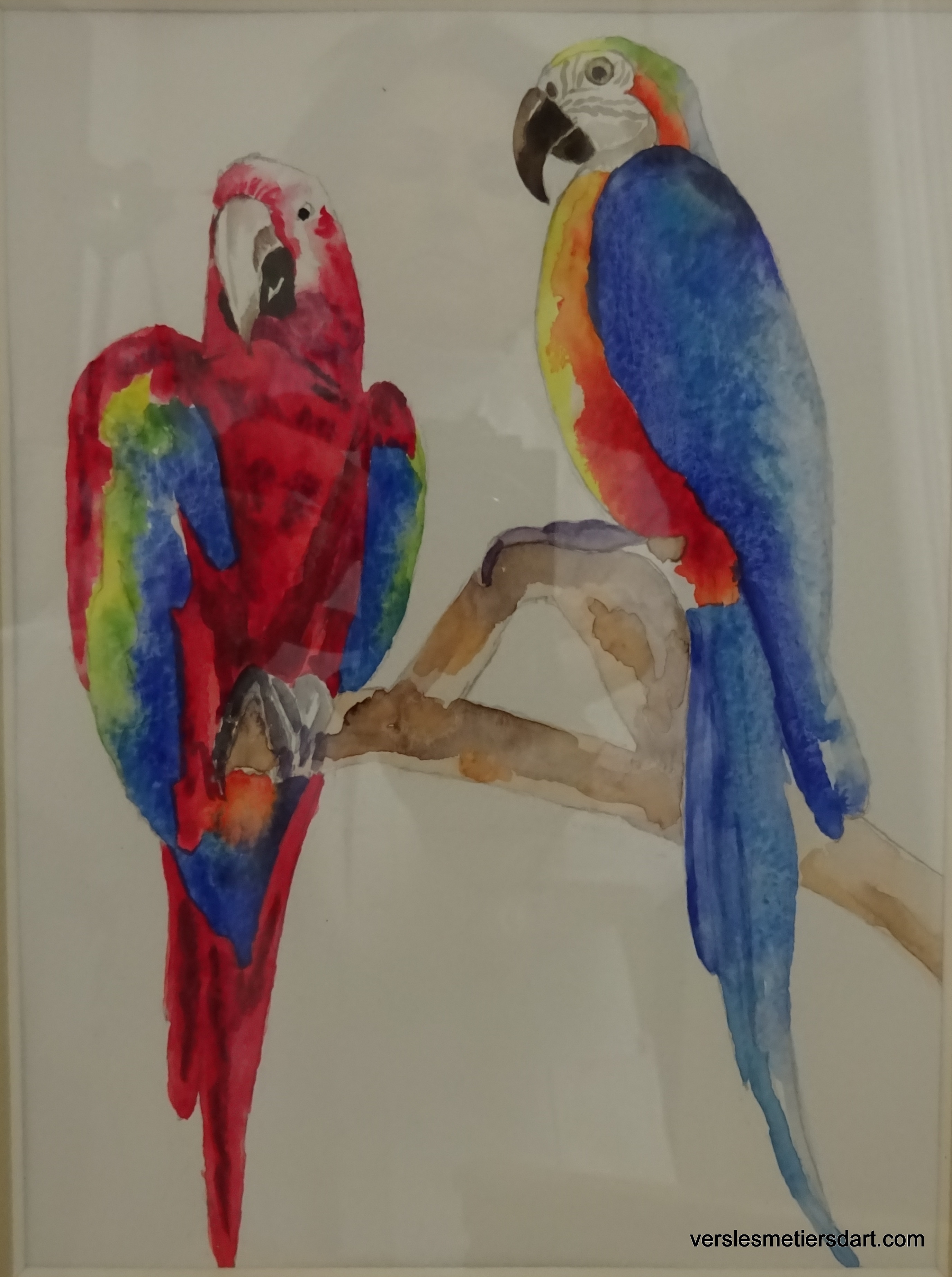 Perroquets a l'aquarelle